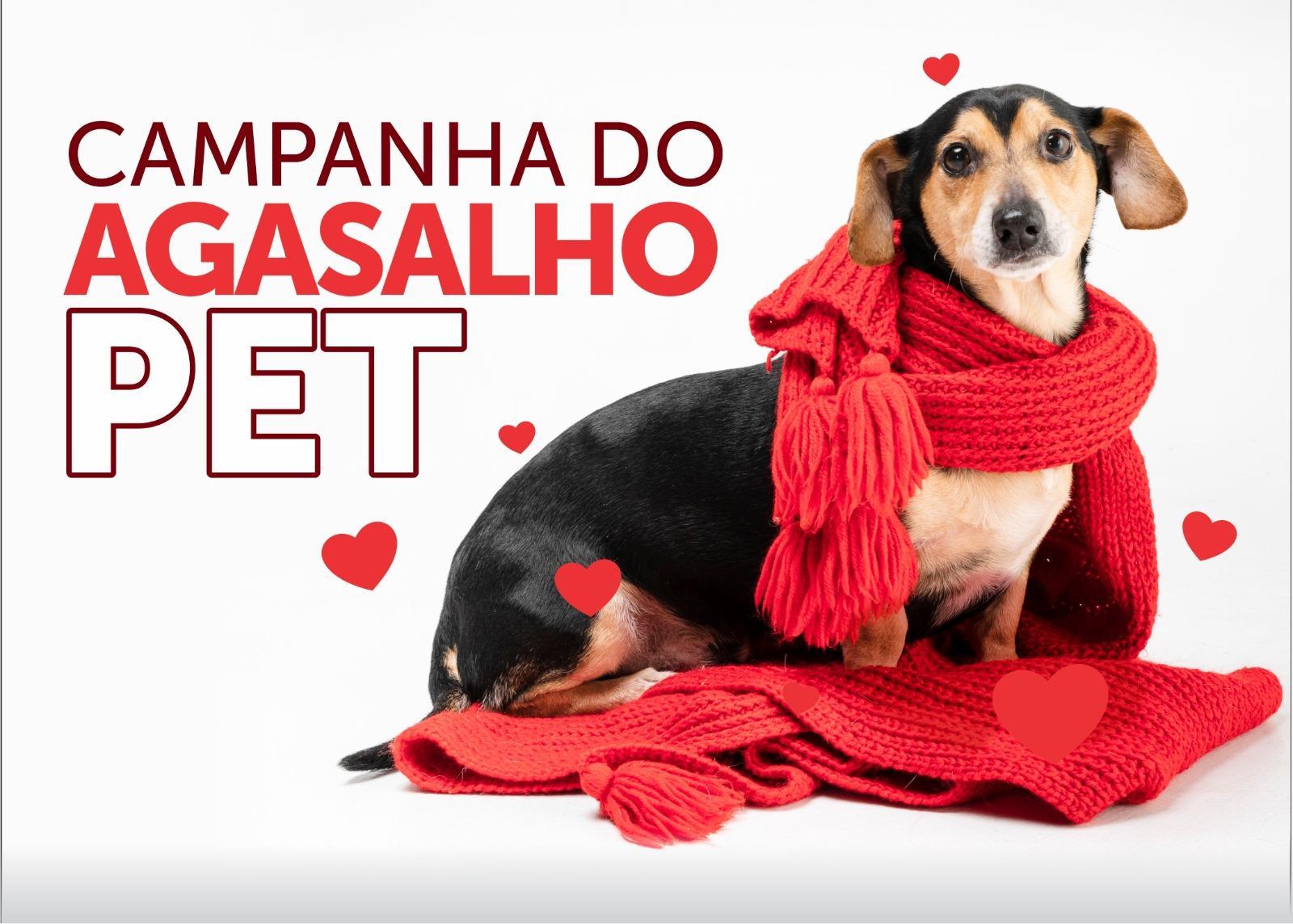 PREFEITURA PROMOVE CAMPANHA DO AGASALHO PET PARA O CANIL MUNICIPAL