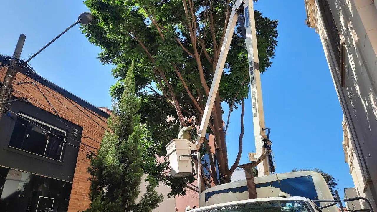 PREFEITURA DE TATUÍ INICIA NOVO PROCEDIMENTO DE PODA SETORIZADA