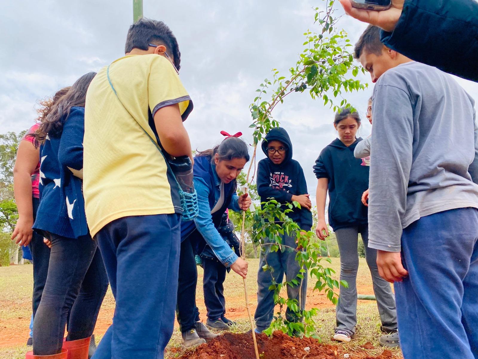 MAIS DE MIL PESSOAS PARTICIPAM DA SEMANA MUNICIPAL DA ARBORIZAÇÃO URBANA, QUE PLANTOU 208 ÁRVORES E DOOU 205 MUDAS